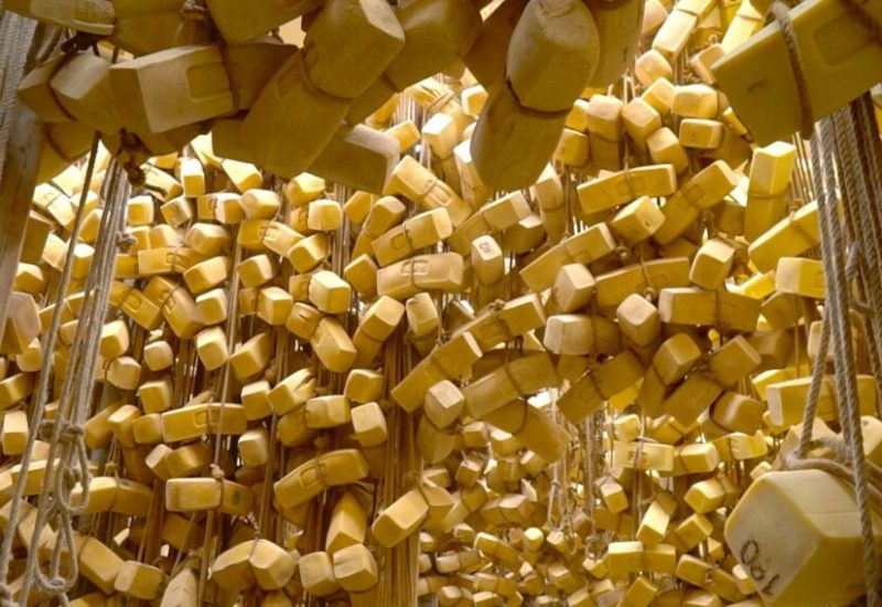 CACIOCAVALLO-1024x568
