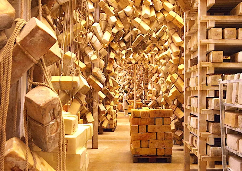 ragusano-dop-formaggio-ragusa ragusano-dop-formaggio-ragusa